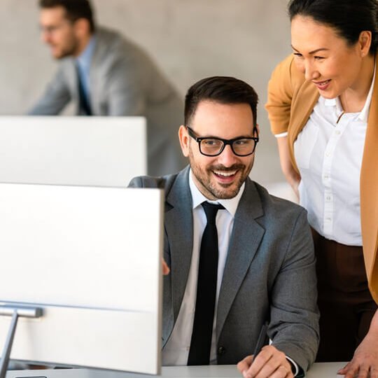 Security Consulting